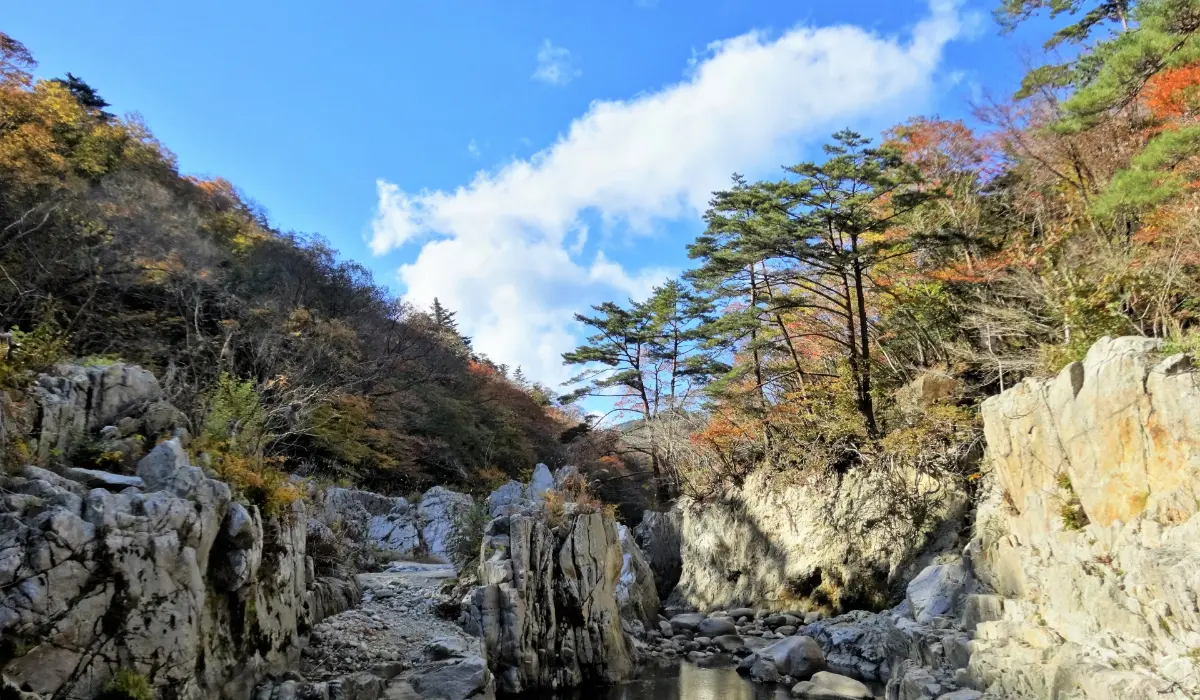 いわきの野山